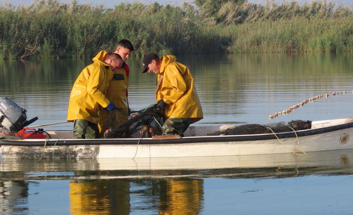 Los técnicos de Riegos de Levante realizan la pesca extractiva de carpas mediante la técnica de la paranza, reduciendo los daños colaterales. | CAROLINA GARCÍA
