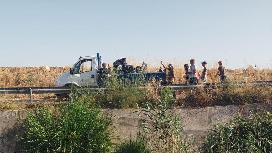 Retiran unas seis toneladas de residuos del torrente de Vinagrella que desemboca en s’Albufera