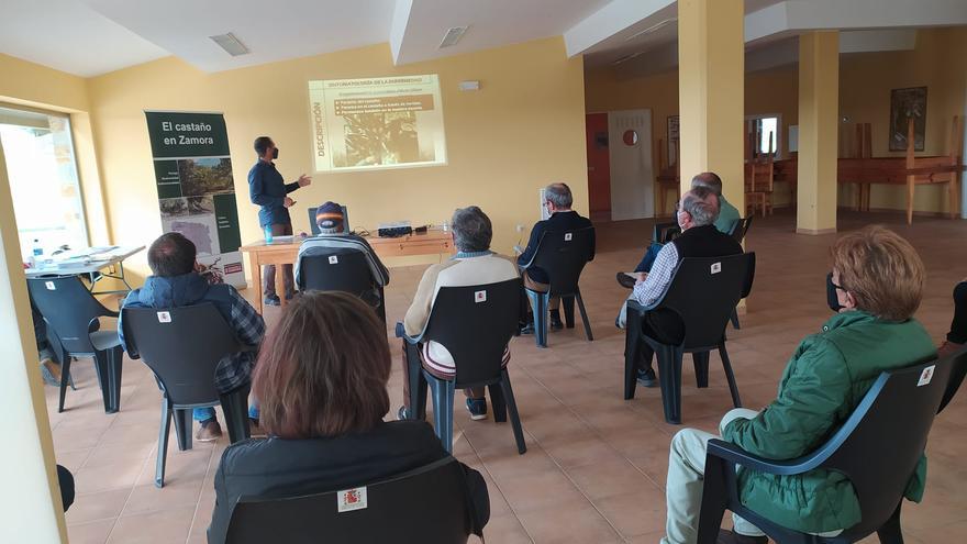 La Mesa del Castaño organiza una charla en Palacios de Sanabria sobre las plagas