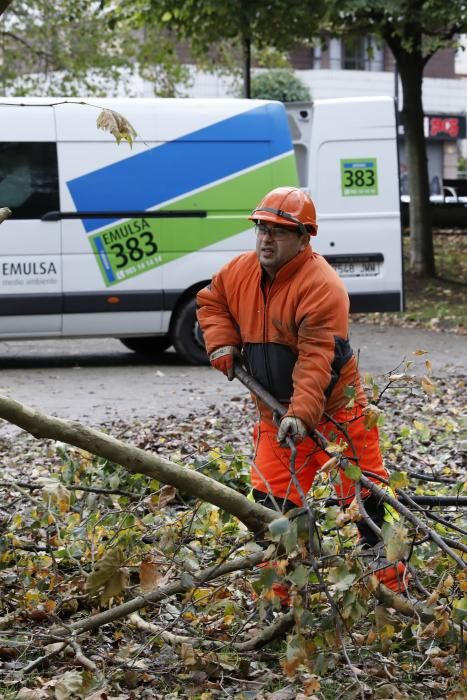 Las consecuencias de la tormenta en Gijón.