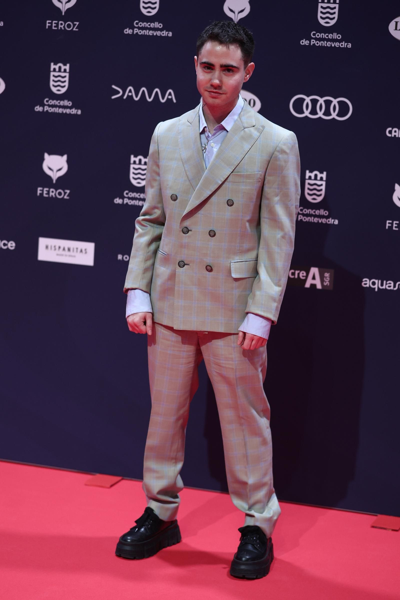 Alfombra roja de los Premios Feroz 2025
