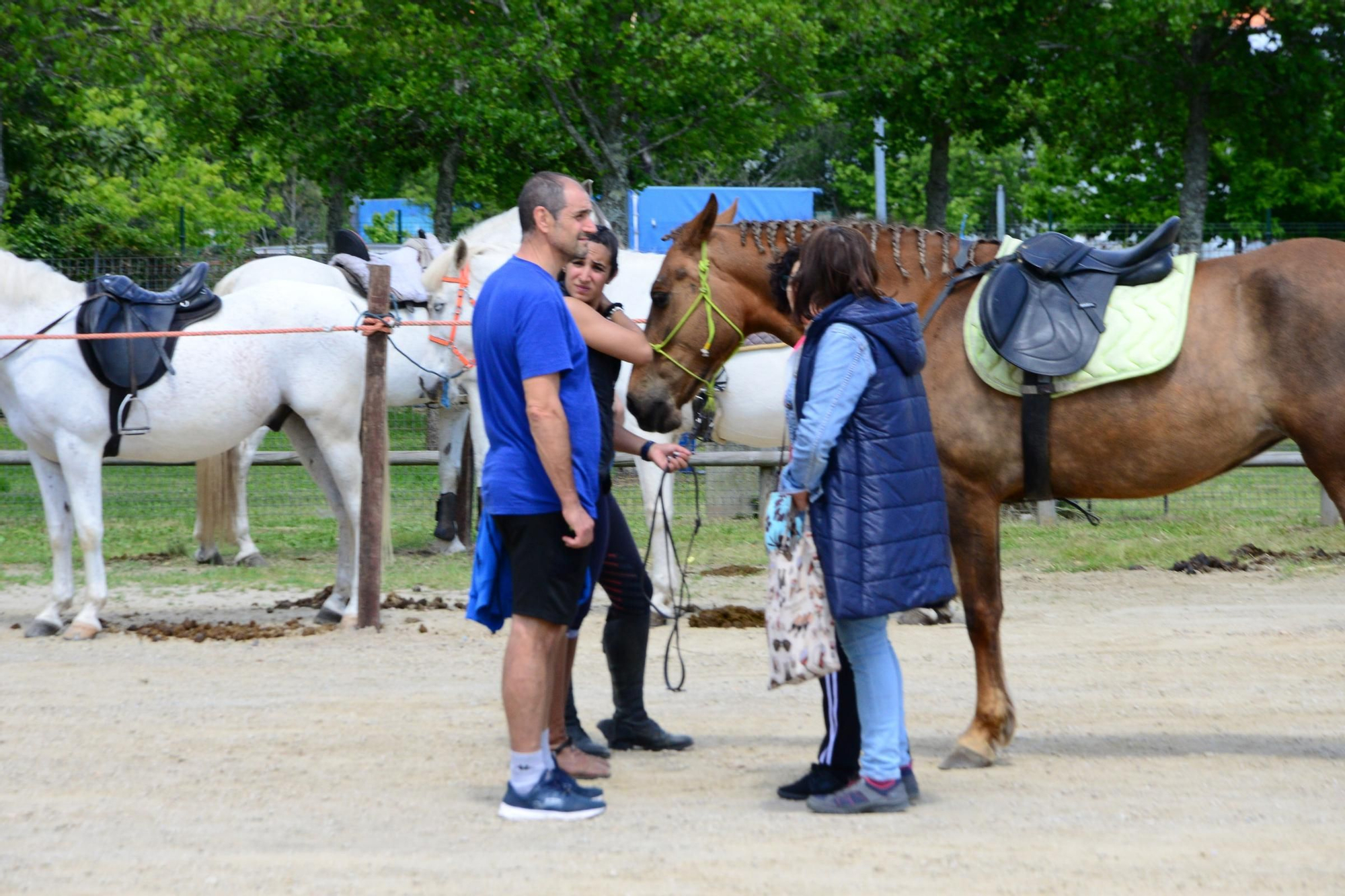 Más de 200 jinetes en la Xuntaza Cabalar de Moaña