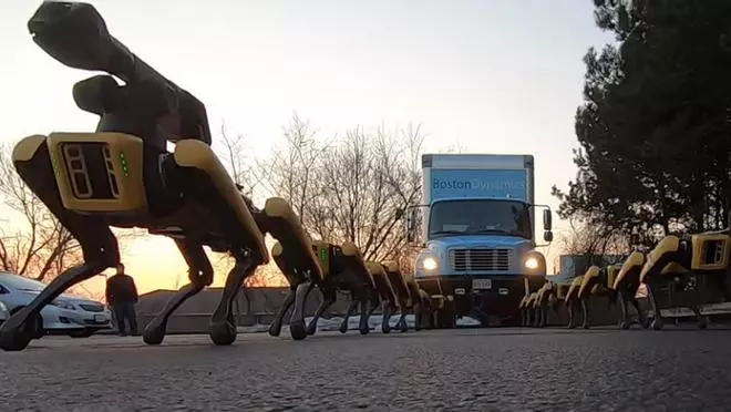 Así remolcan un camión 10 perros robots de Boston Dynamics