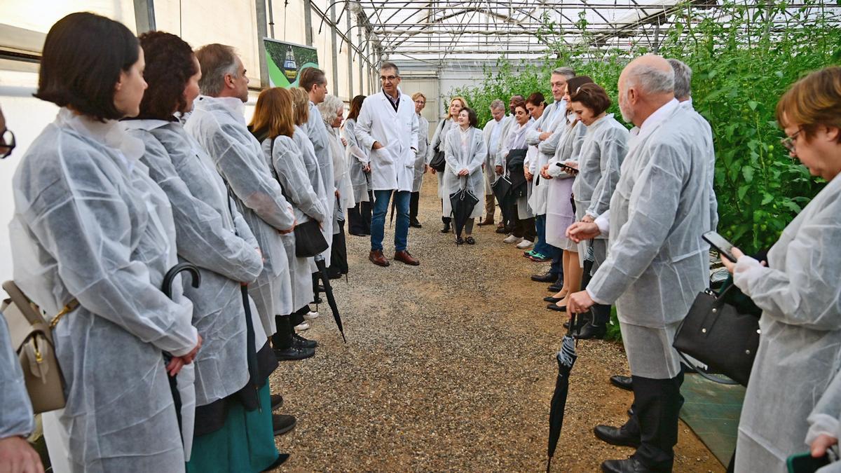 Visita a la Estación Experimental Cajamar ‘Las Palmerillas’.