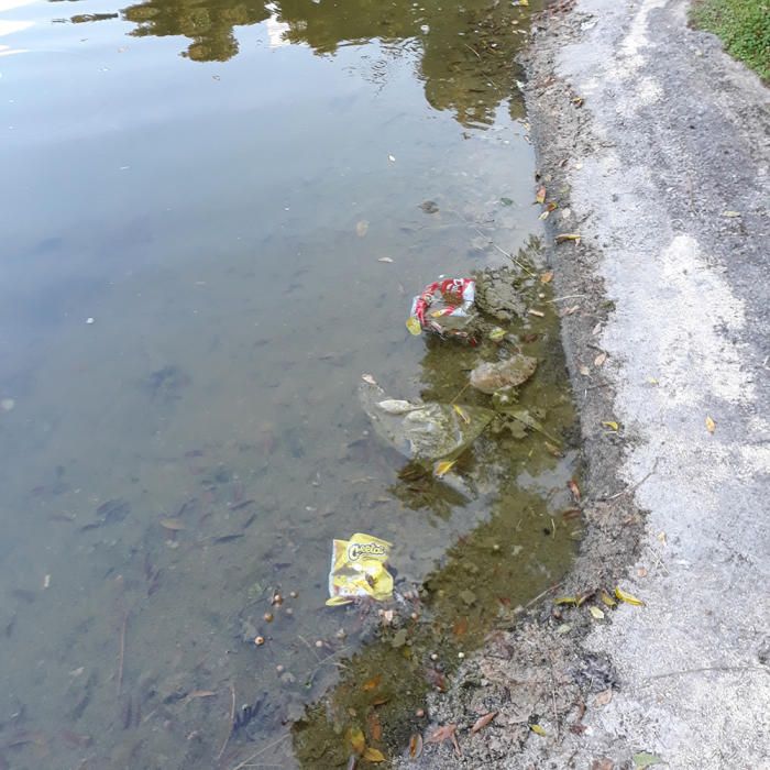 Basura y animales muertos en el Parque de la Paz