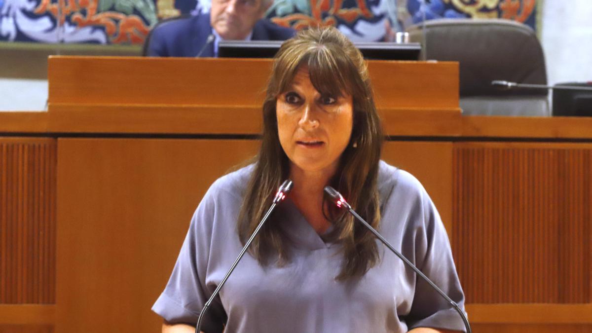 La consejera de Sanidad del Gobierno de Aragón, Sira Repollés, en su intervención este viernes en el pleno de las Cortes de Aragón.