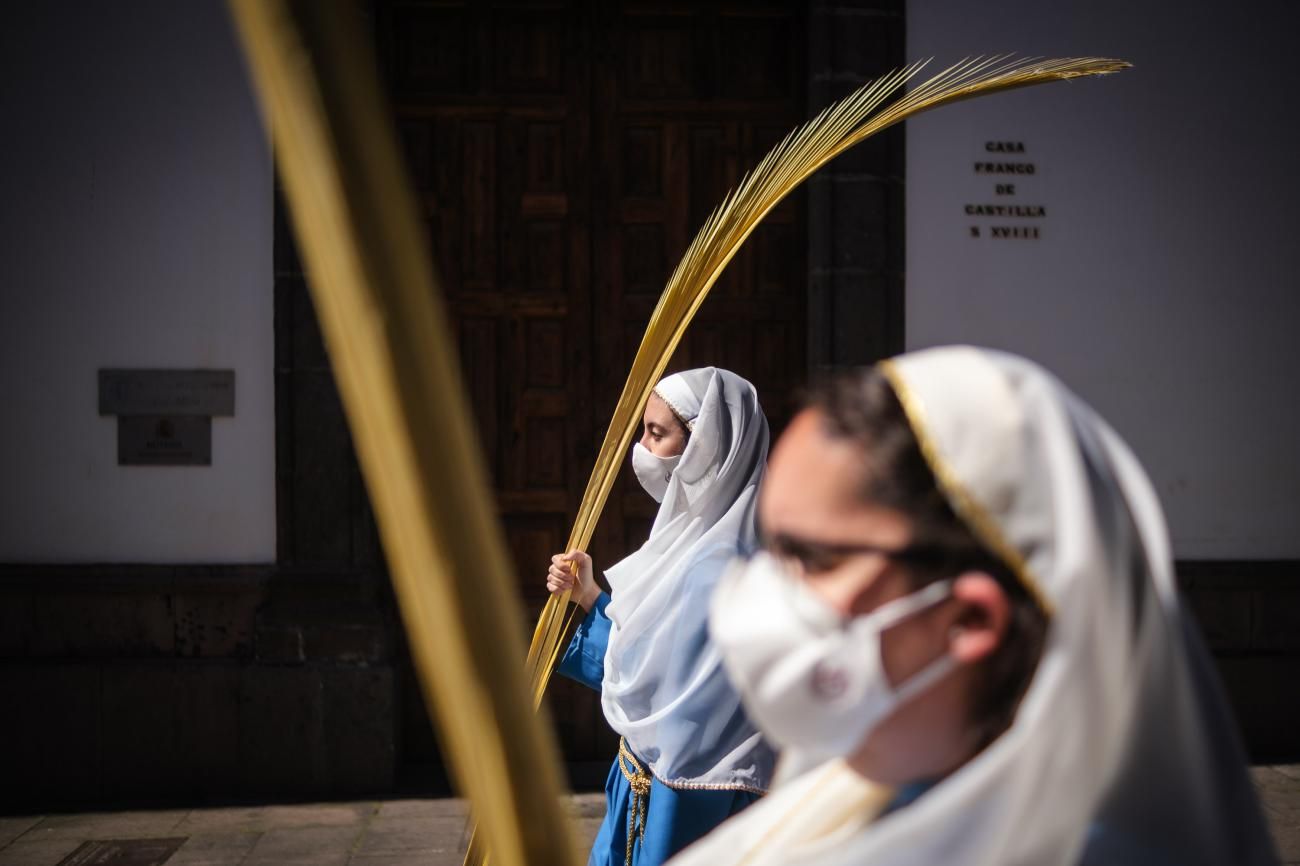 Procesión del Paso de la Entrada de Jesús a Jerusalén en La Laguna