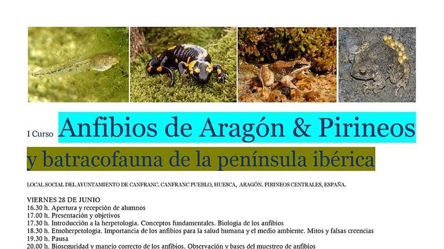 I Curso Herpetología Anfibios - Aragón Pirineos