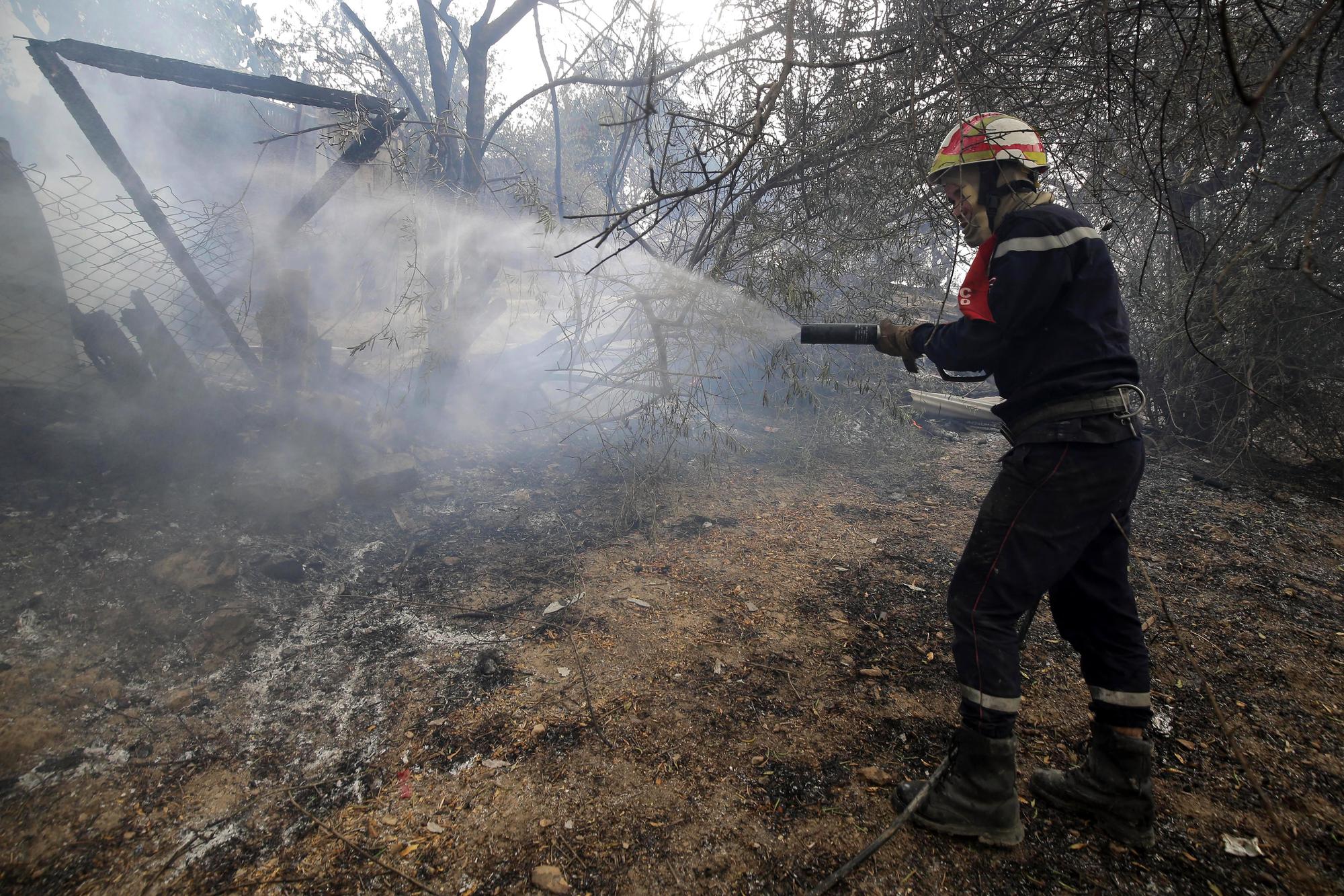 At least 34 dead following forest fires in Algeria