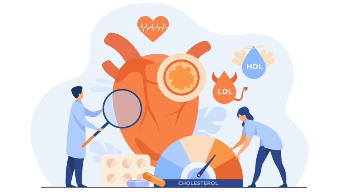 Un nivell alt de colesterol LDL és un factor de risc per les malalties cardiovasculars