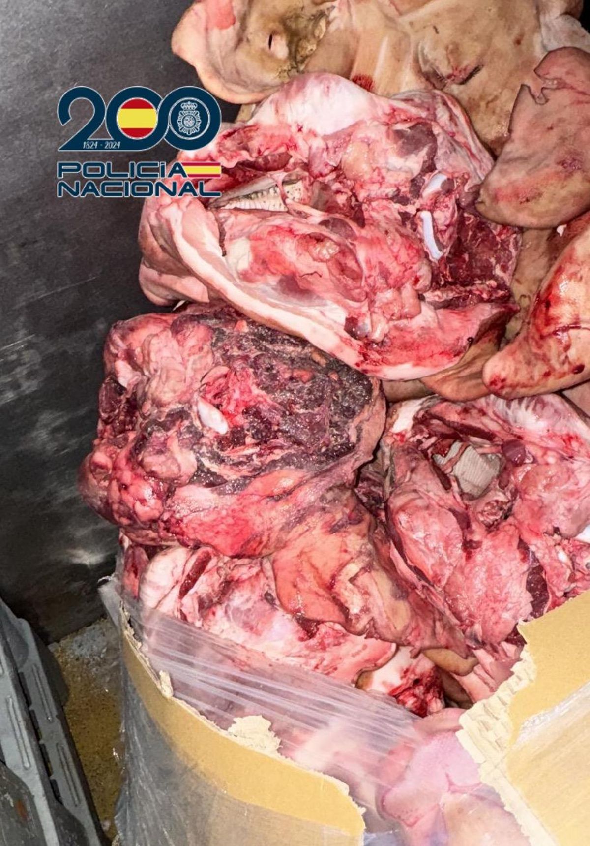 Carne en mal estado hallada en la empresa.