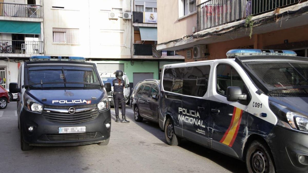 Agentes de la Policía Nacional, durante una operación en Son Gotleu.