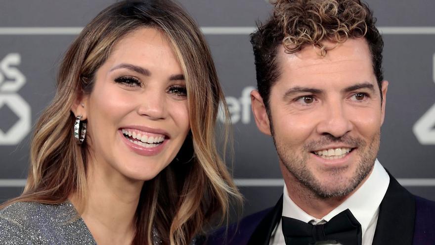 Polémica entre David Bisbal y su mujer Rosanna Zanetti: &quot;Yo lo pasé duro&quot;