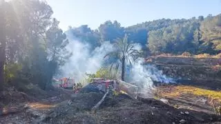 Estabilizado el incendio forestal en les Valletes de Gallo en Alzira tras movilizar a medios aéreos y terrestres