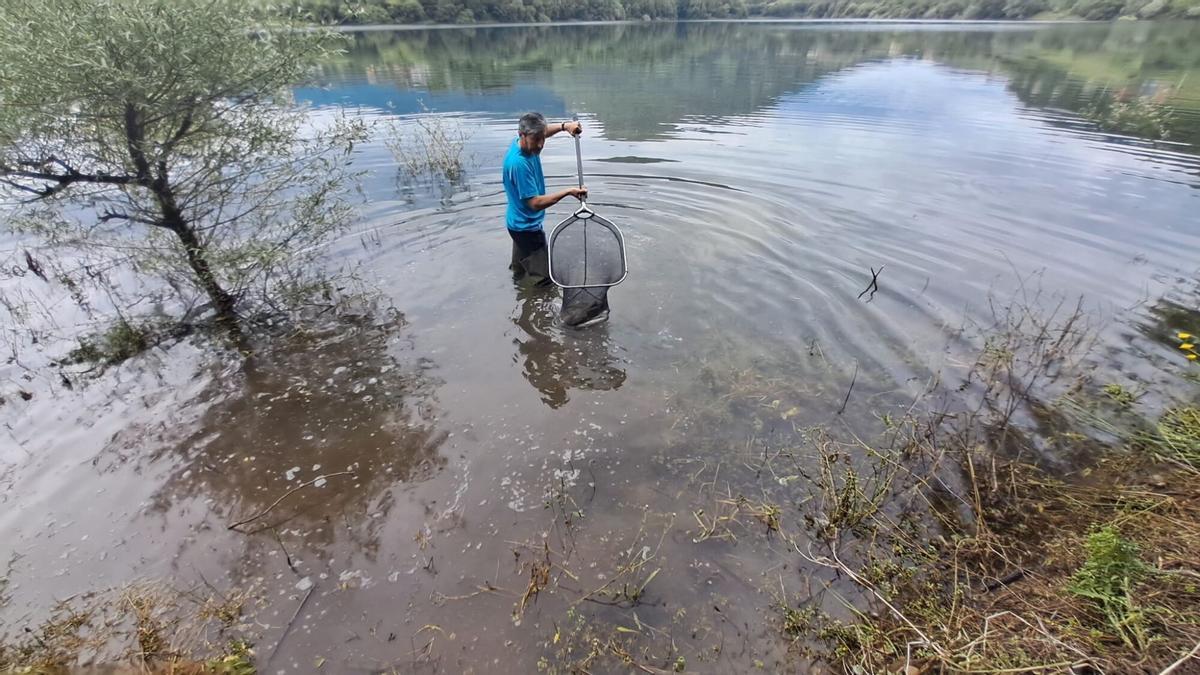 Repoblación de truchas en el embalse de los Alfilorios con la Asturiana de Pesca
