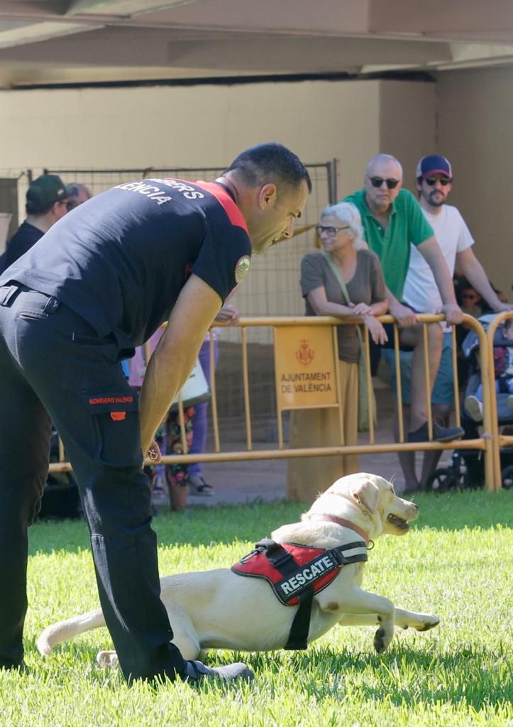 Así ha sido la Feria de los Animales en València