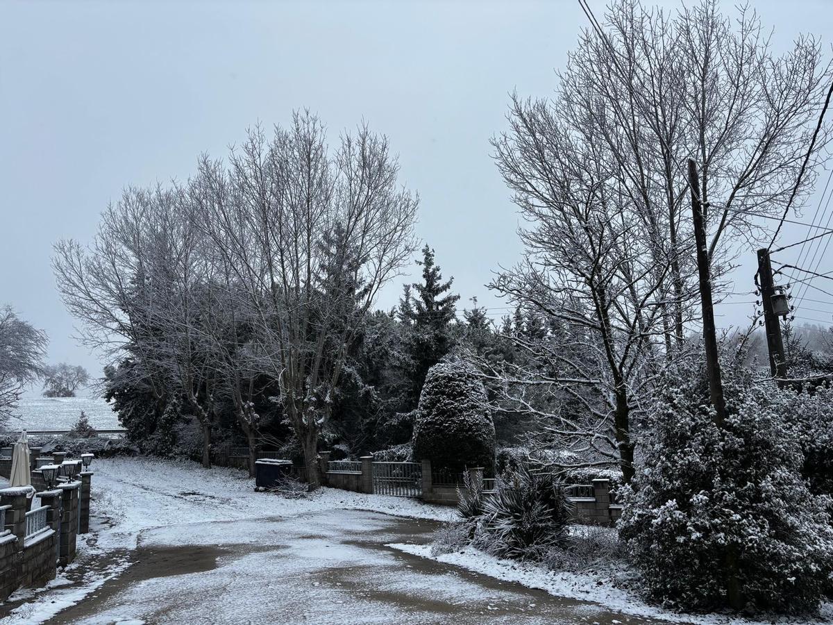 Nevada a la urbanització Montví de Baix de Moià