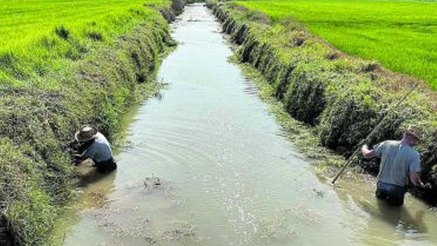 Silla regenera els seus barrancs i séquies amb agrícoles en atur