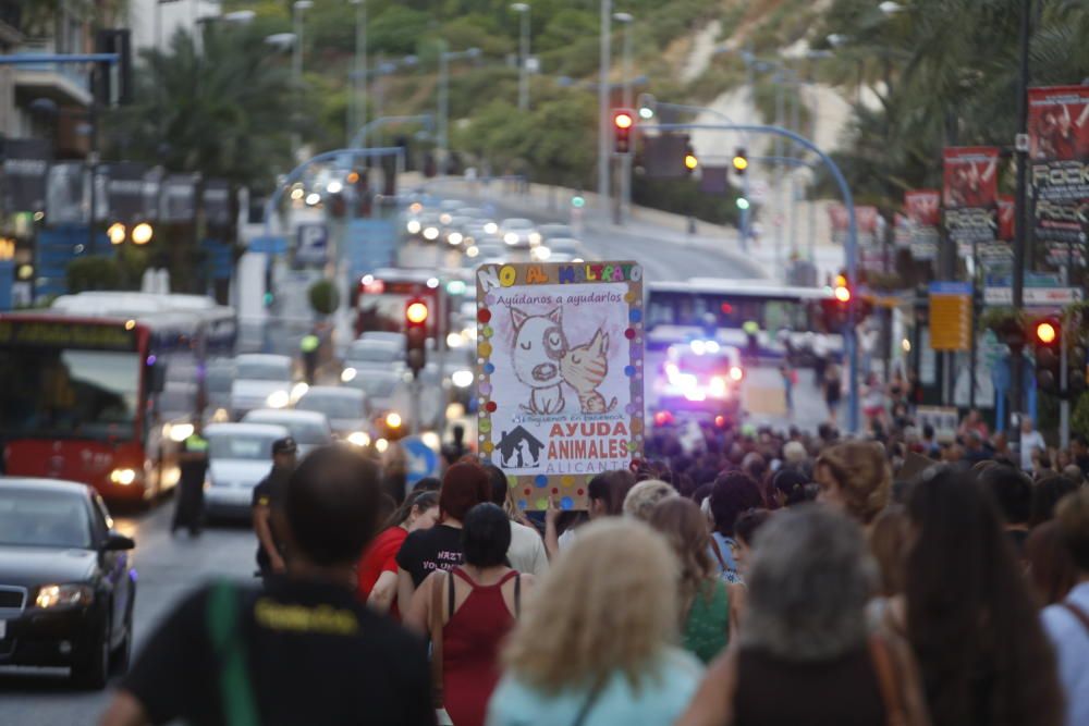 Manifestación tras el maltrato a los gatitos