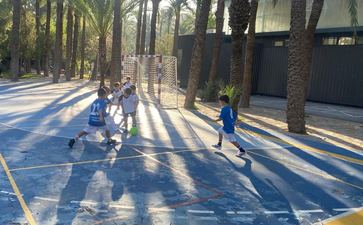 instalaciones deportivas municipales