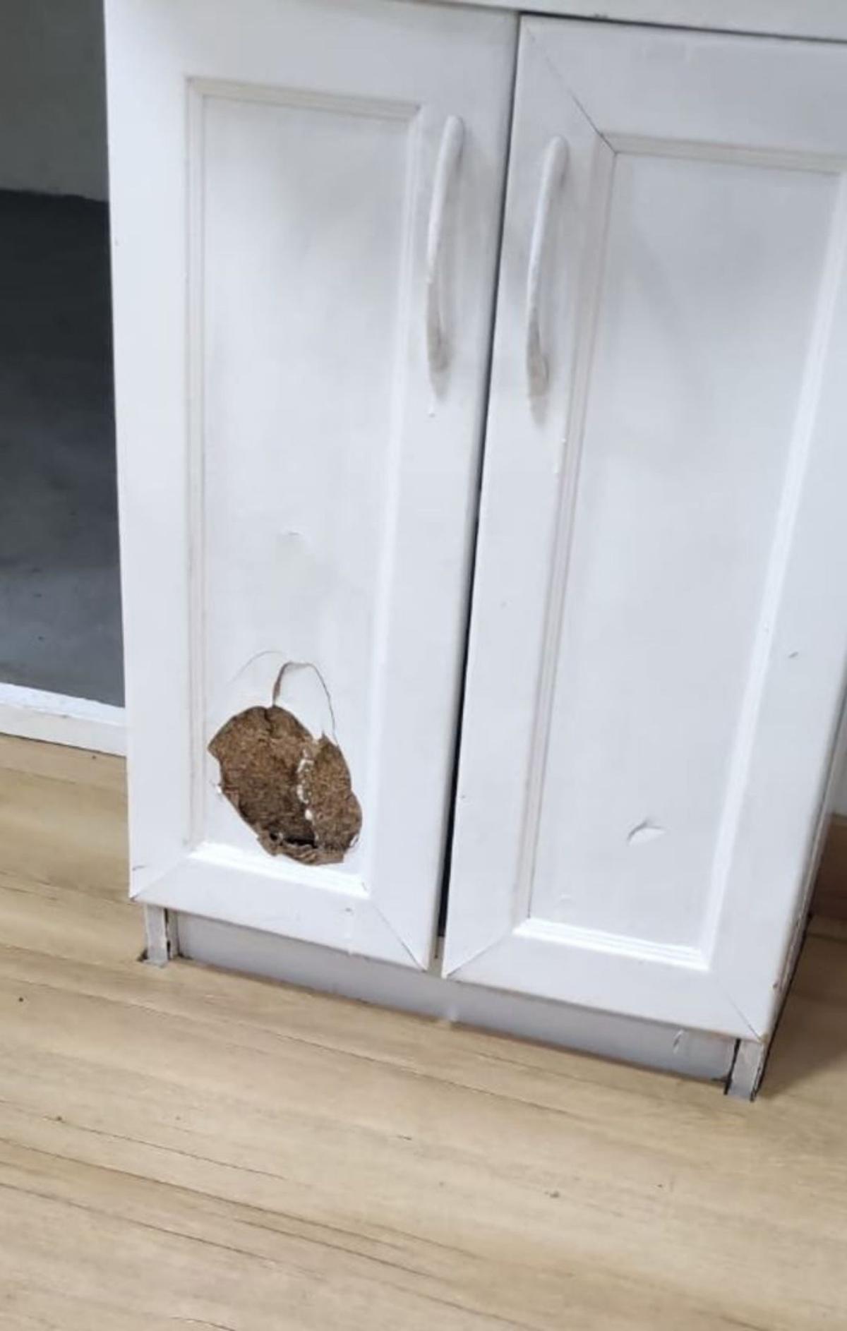 Uno de los muebles, tras recibir una patada.
