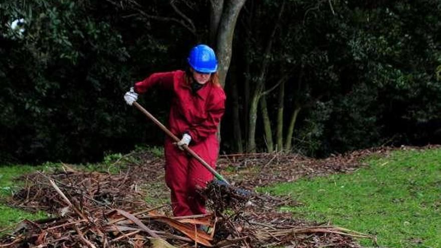 Tareas de poda en las especies del parque botánico Valdés Bermejo, en el que se realiza la actuación  // Iñaki Abella