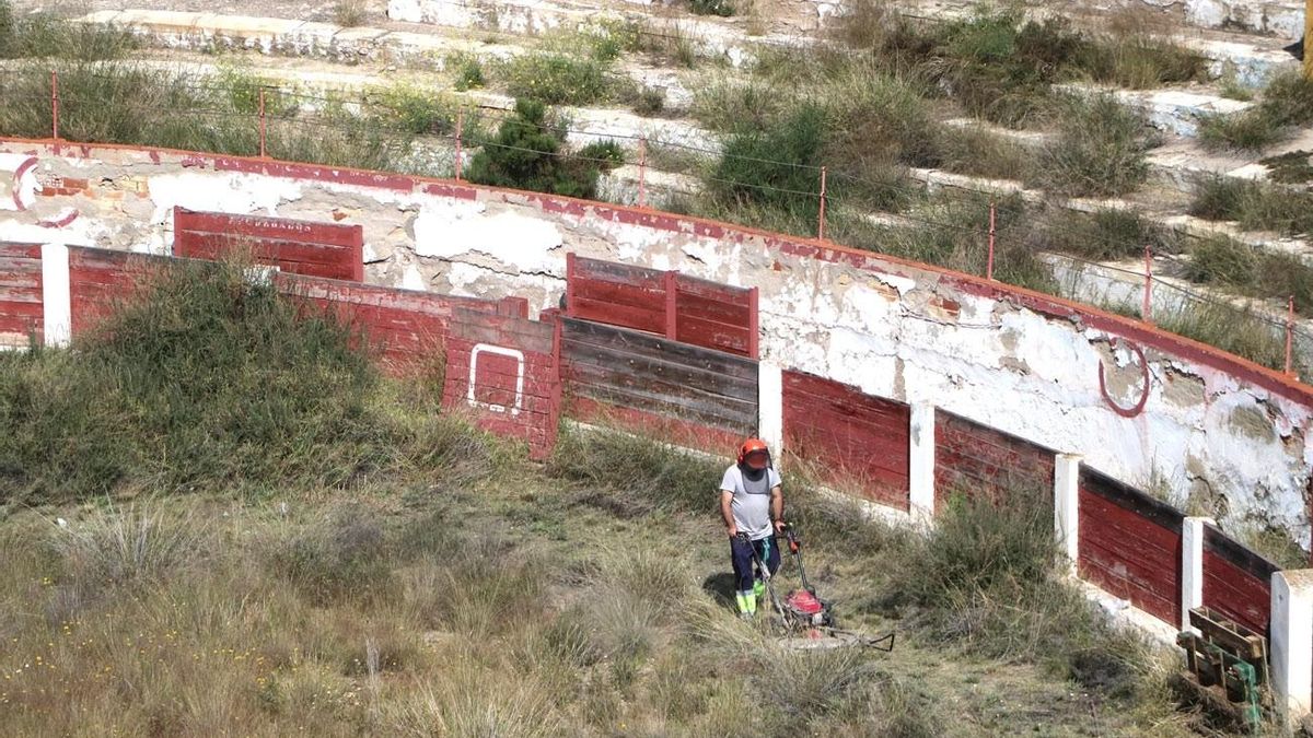 Trabajos de desbroce en el interior de la Plaza de Toros de Elda.