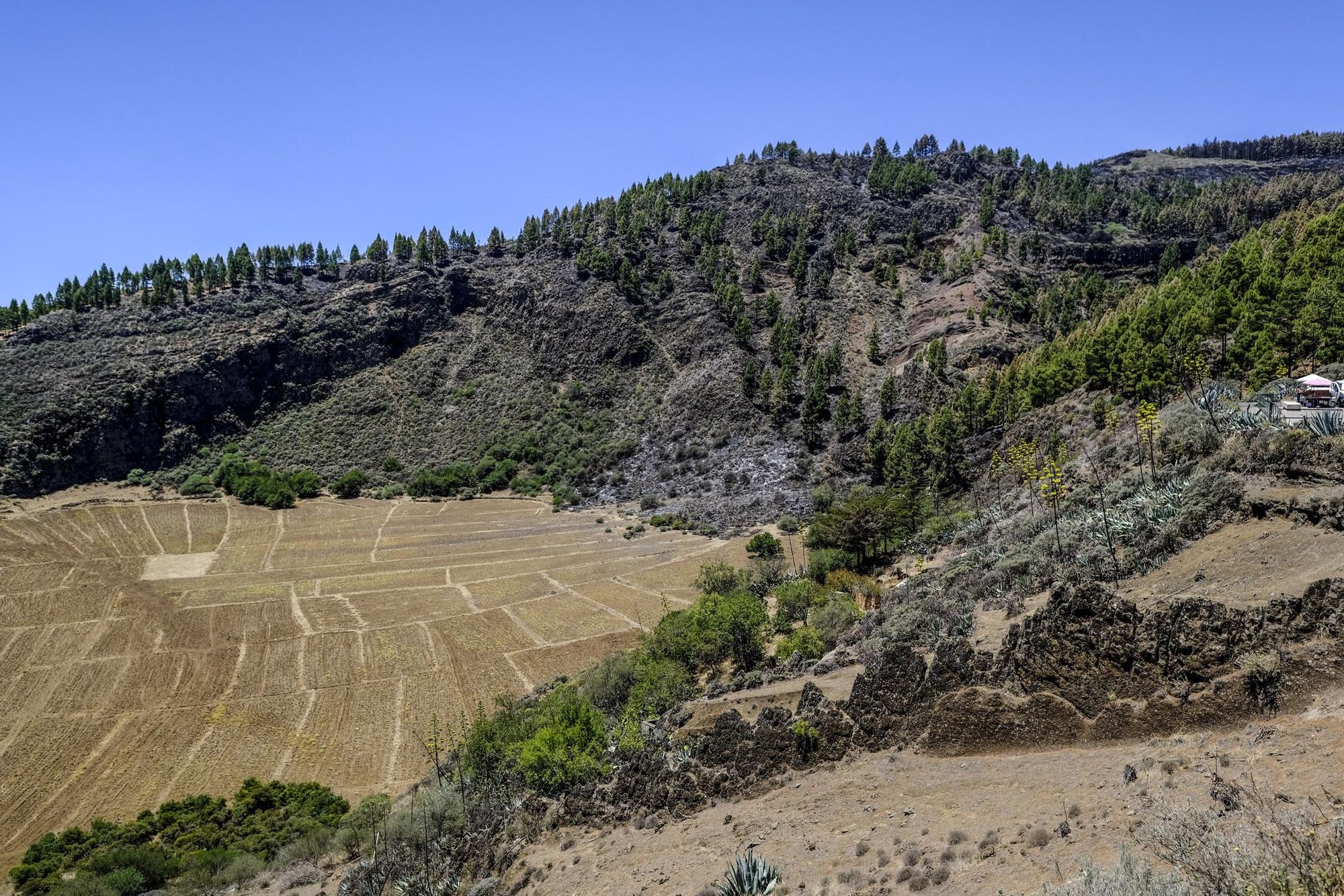 Incendio en la Cumbre de Gran Canaria: después del fuego viene la calma