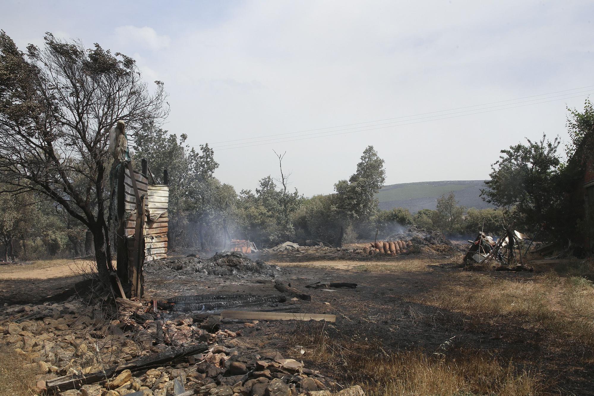 Zamora, el infierno en llamas