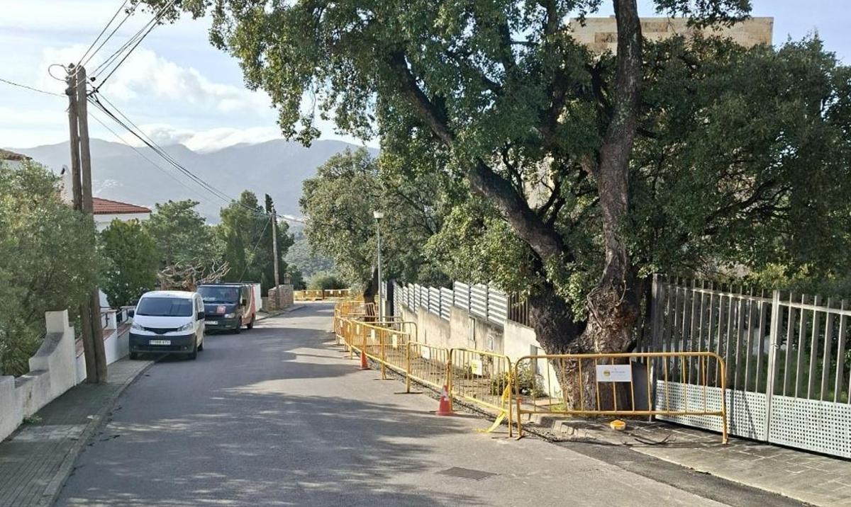 Endesa porta a terme millores a la xarxa de Llançà.