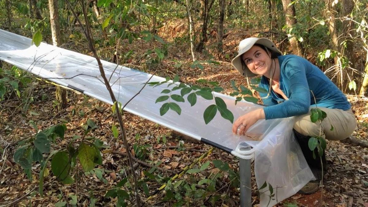 A vida fascinante que agocha o solo da Terra
