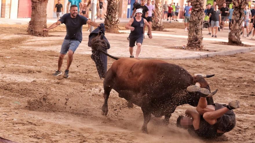 Herido un recortador de 21 años en los toros de las fiestas de Sant Pere del Grau