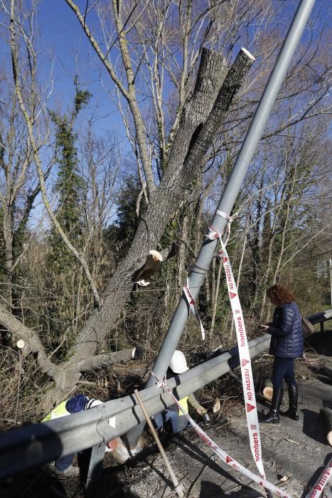 Incidències pel vent a Anglès