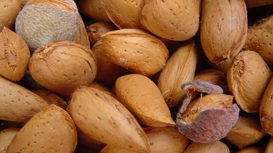 Adiós a las almendras: piden que no se consuma