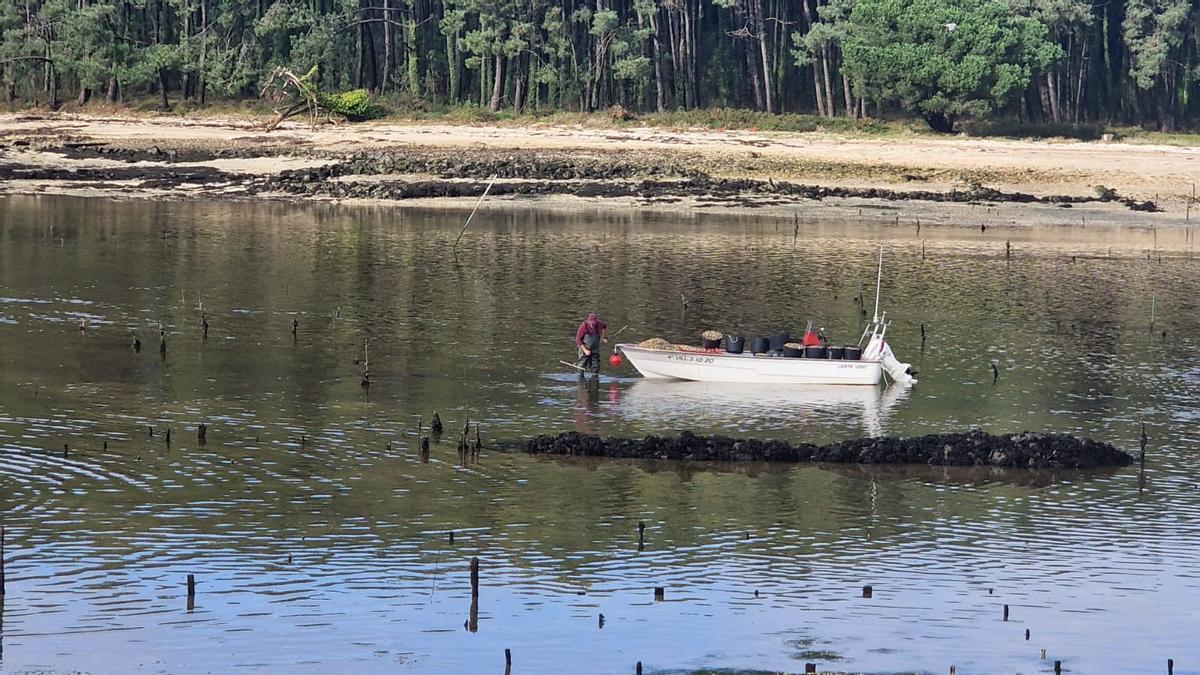 Trabajadores en los parques de cultivo, ayer.