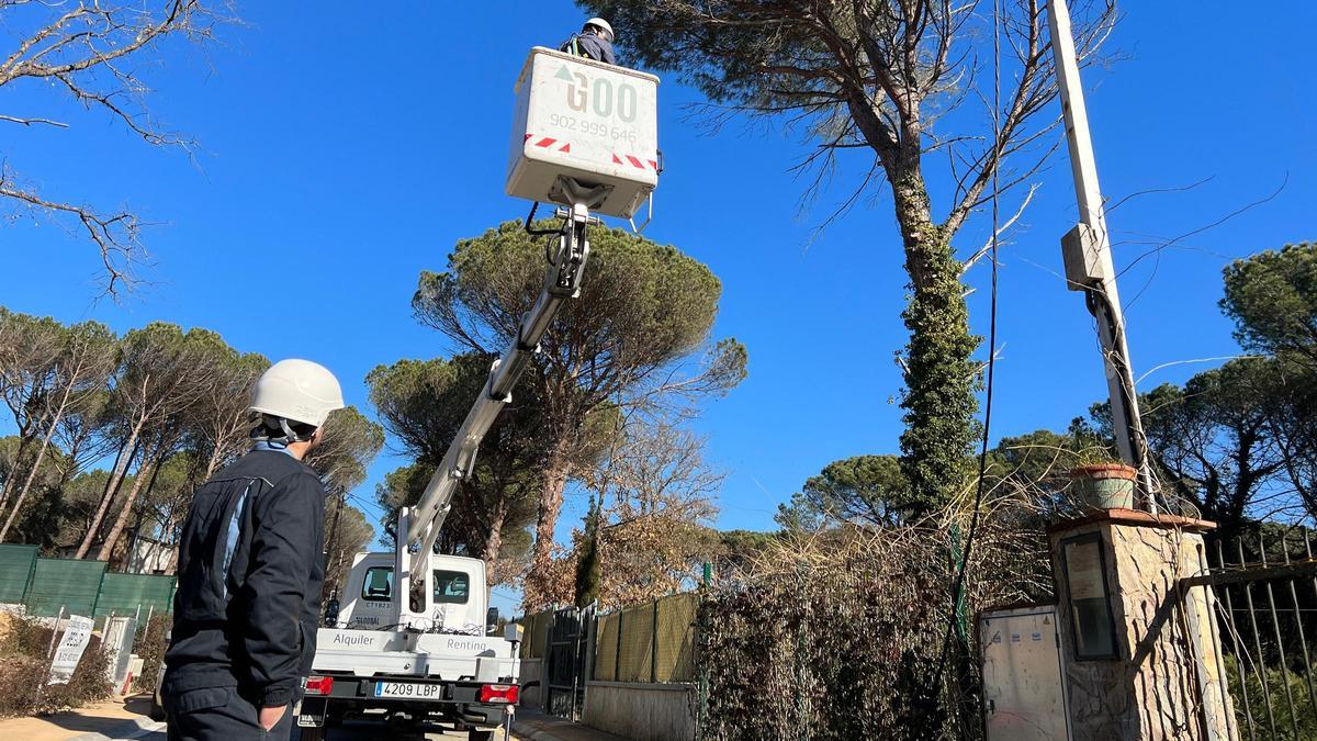 Uns operaris, en una urbanització gironina.