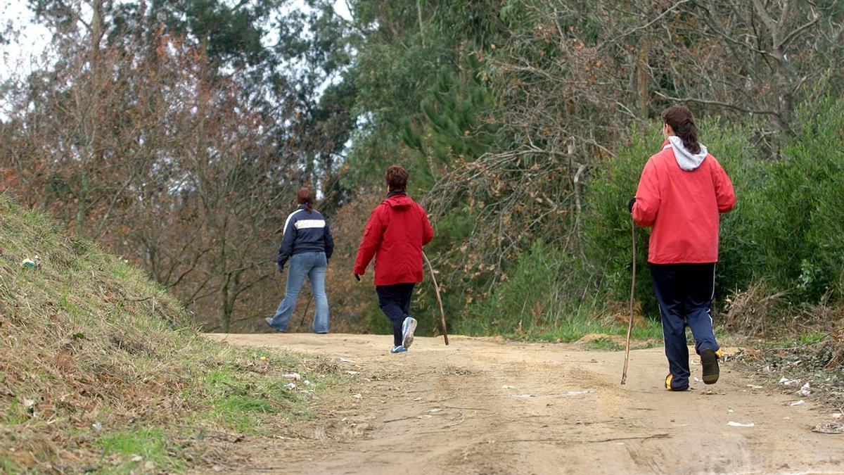 Familiares y amigos de la pareja, realizaron rastreos por montes cercanos a la ciudad olívica