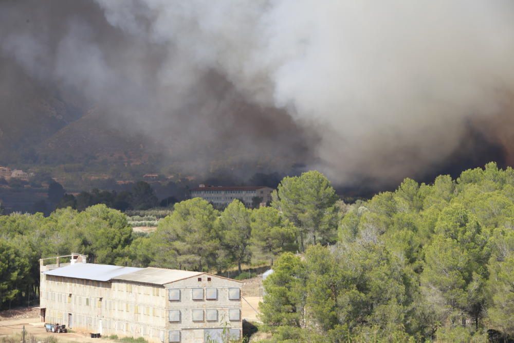 Incendio forestal en Llutxent