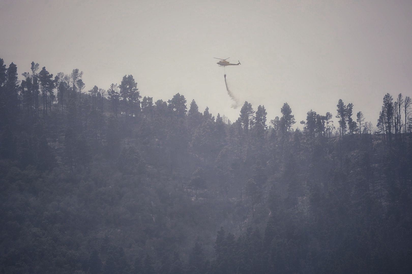 Incendio del norte de Tenerife (25/07/2022)