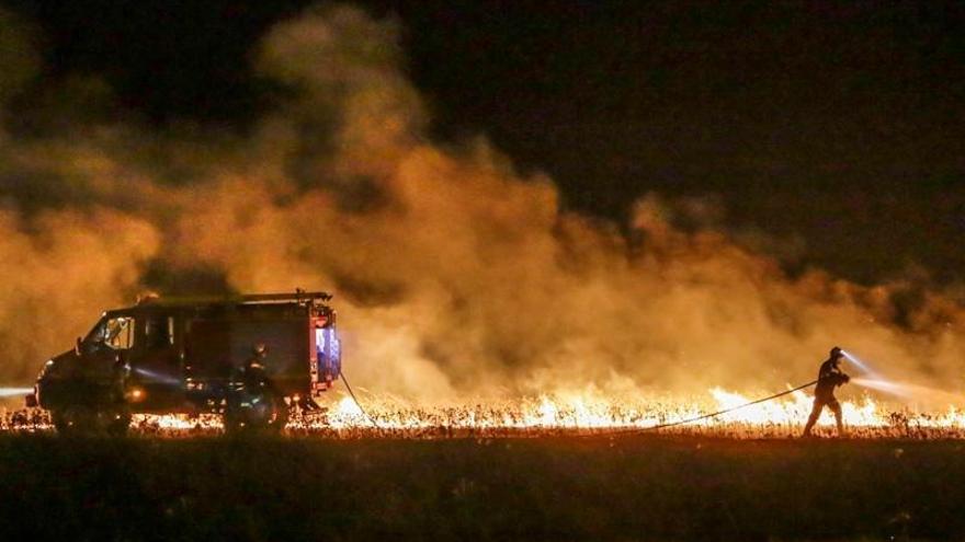 El fuego calcina 45.000 hectáreas en Cáceres en la última década
