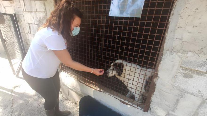 Alba Méndez da de comer a “Welito”, uno de los veteranos del centro.  