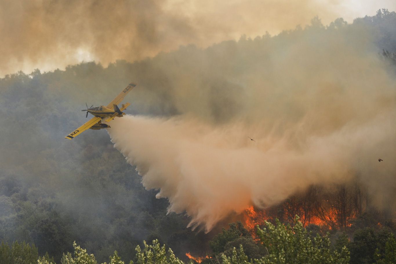 GALERÍA | El incendio en Figueruela avanza en Aliste