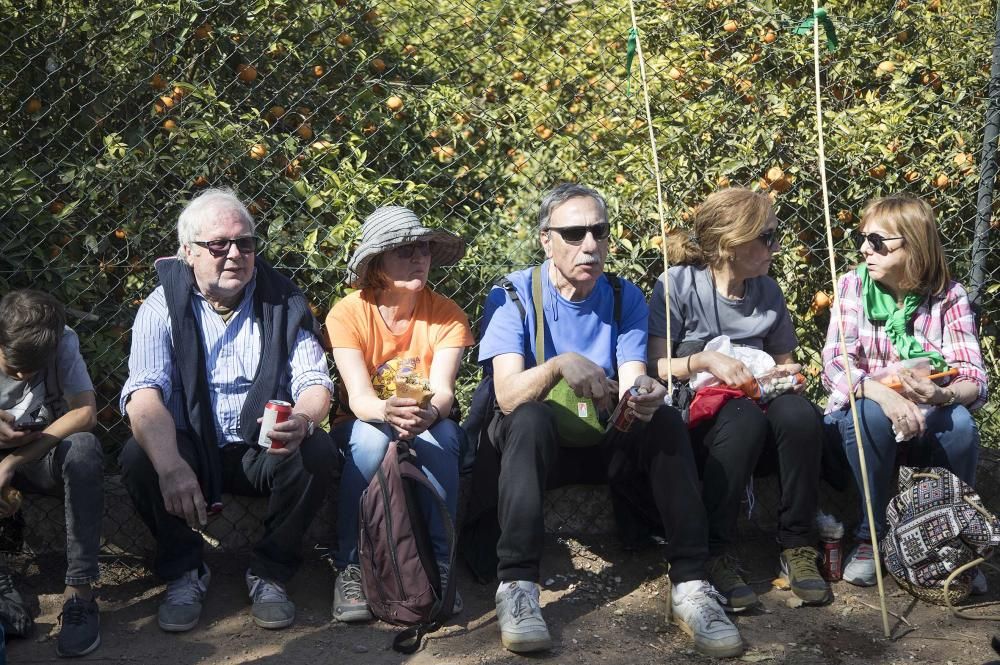 Magdalena 2019: Romeria de les canyes