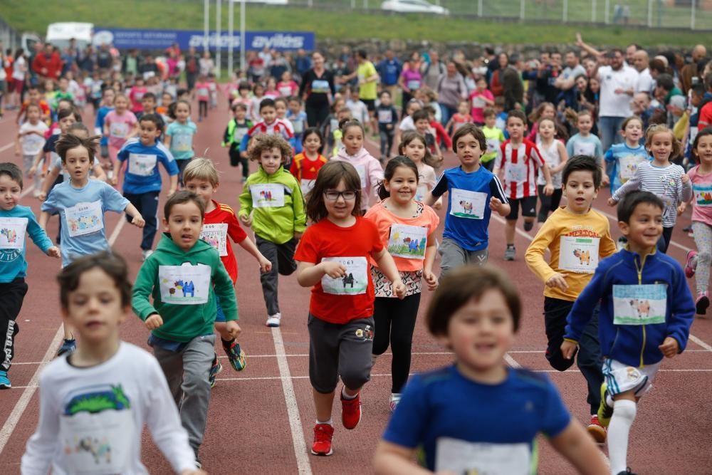 IV Carrera Solidaria por el Sahara en Avilés