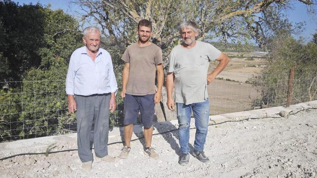 Francisco, Francesc y Toni Munar, en su finca de Petra.