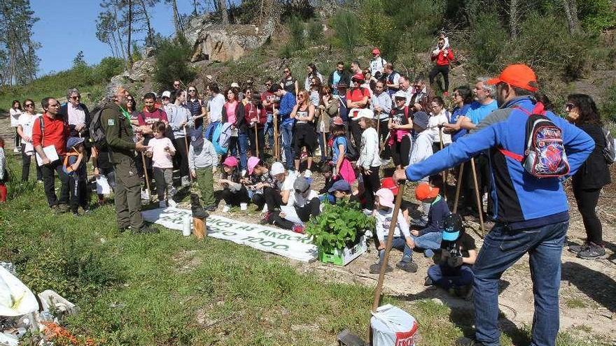 Reposición de árboles autóctonos en un monte de Palmés. // Iñaki Osorio