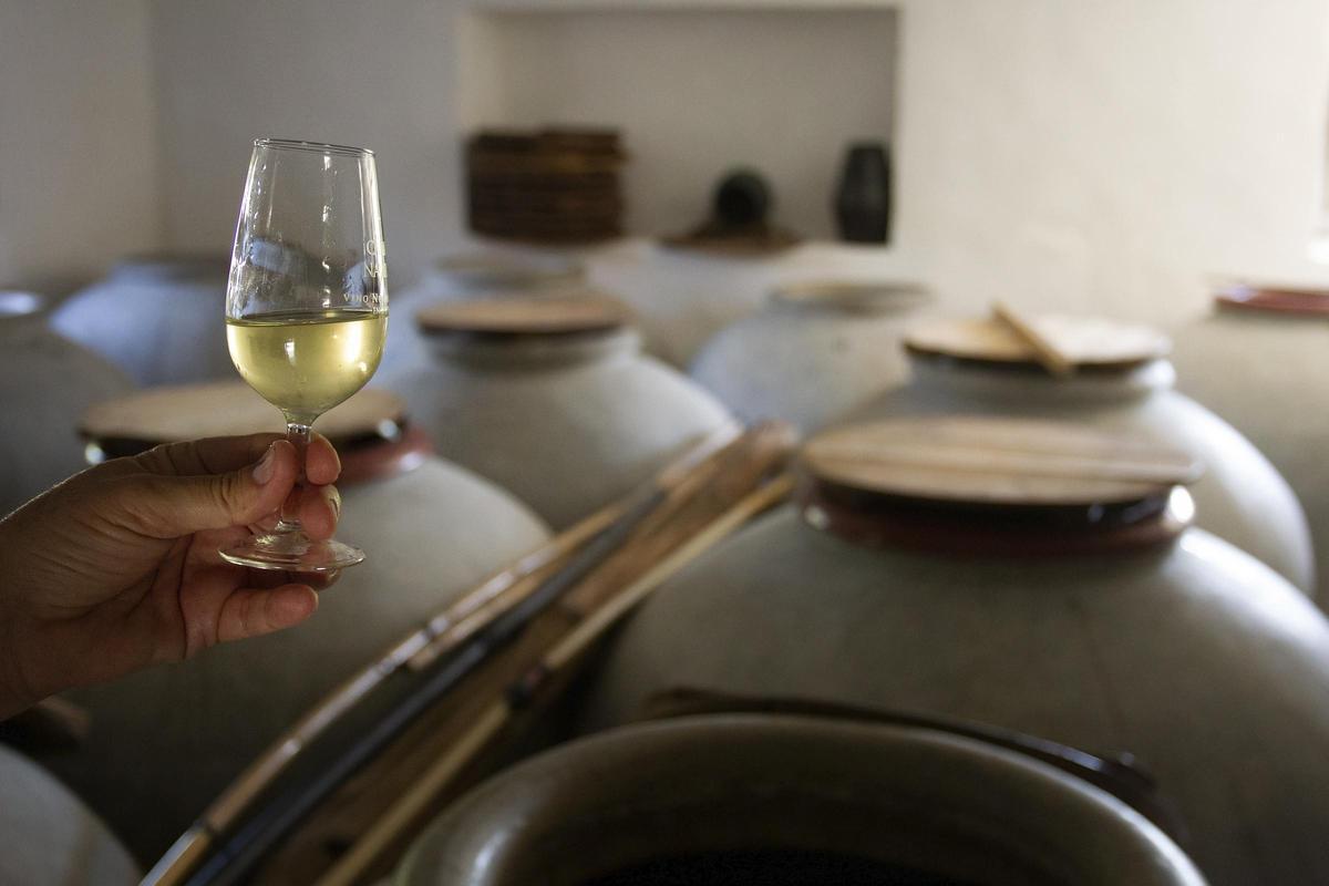 La Diputación de Córdoba presentará los vinos Montilla-Moriles a través de Europe Direct.