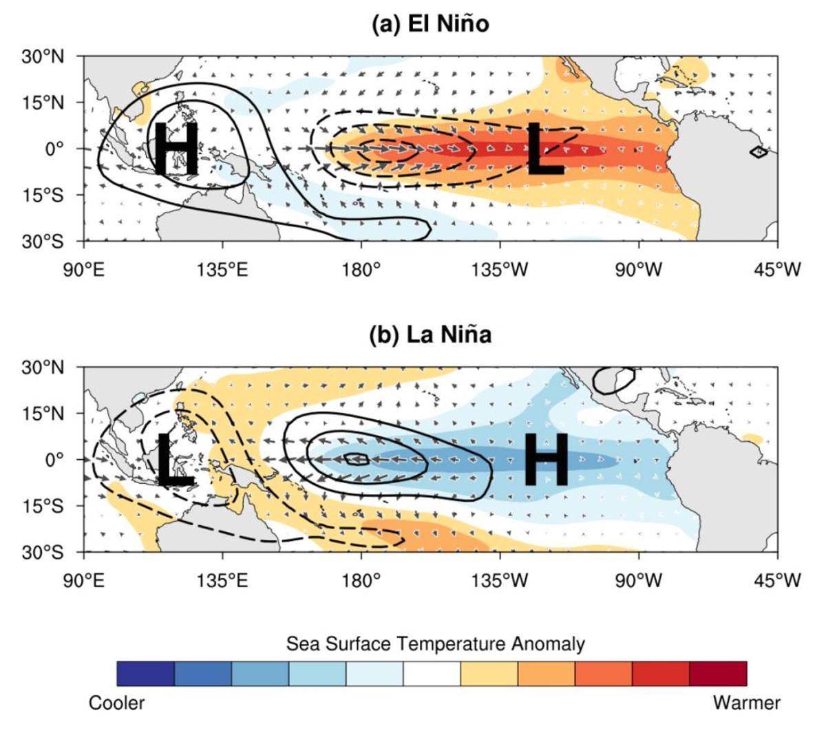 Dos situaciones opuestas. El Niño (arriba) con agua más cálida de lo normal en el Pacífico ecuatorial y La Niña con agua más fría. Las circulaciones atmosféricas se invierten y las señales globales de impacto cambia.