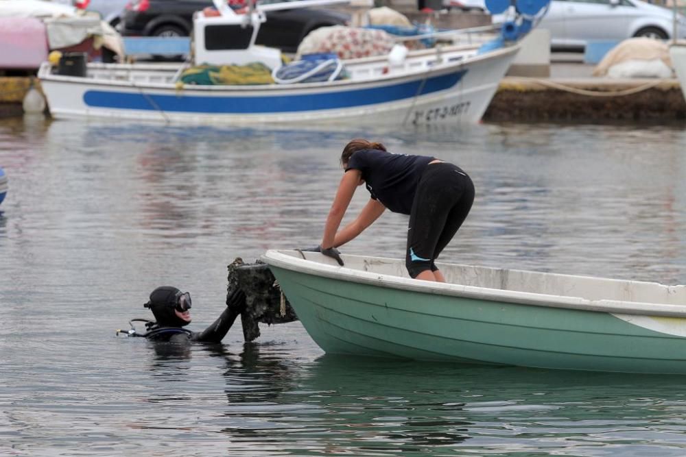 Buceadores limpian la basura del fondo del puerto de Cabo de Palos