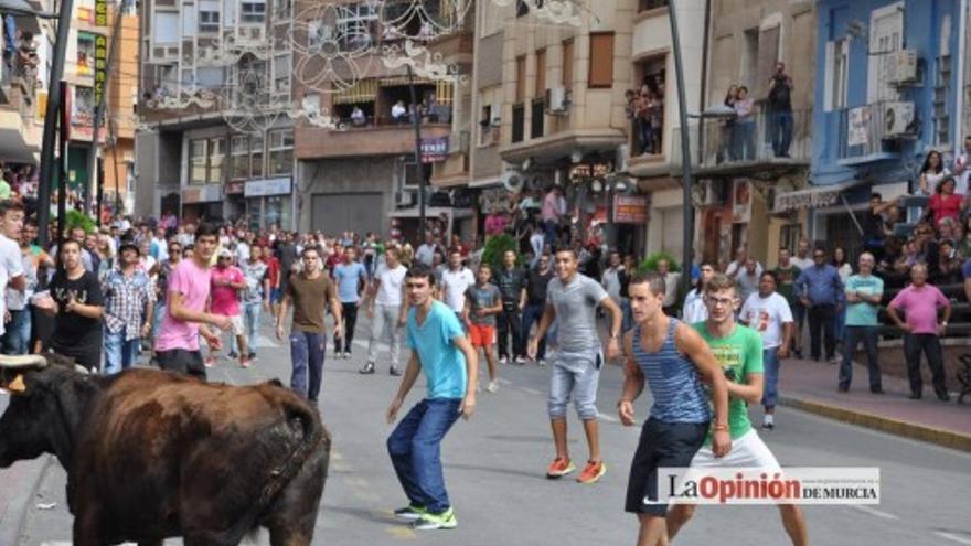 Encierro de vaquillas en Abarán 2014